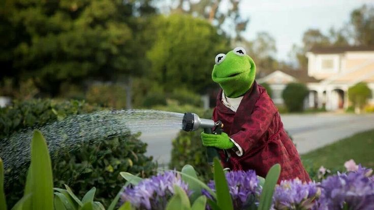Kermit Plants Blank Meme Template