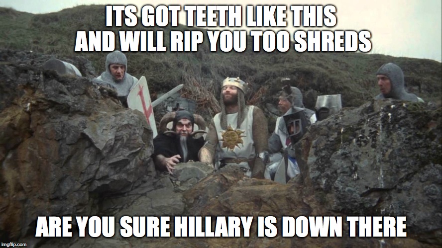 ITS GOT TEETH LIKE THIS AND WILL RIP YOU TOO SHREDS ARE YOU SURE HILLARY IS DOWN THERE | image tagged in i warned you | made w/ Imgflip meme maker
