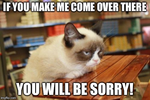 Grumpy Cat Table | IF YOU MAKE ME COME OVER THERE YOU WILL BE SORRY! | image tagged in memes,grumpy cat table | made w/ Imgflip meme maker