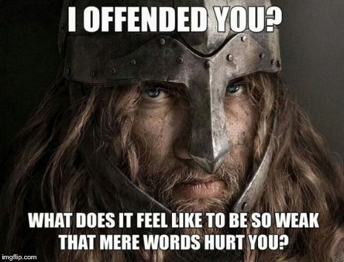 Vikings Are Not Easily Offended | image tagged in viking | made w/ Imgflip meme maker