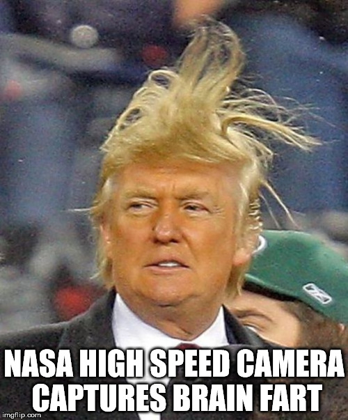 Donald Trumph hair | NASA HIGH SPEED CAMERA CAPTURES BRAIN FART | image tagged in donald trumph hair | made w/ Imgflip meme maker