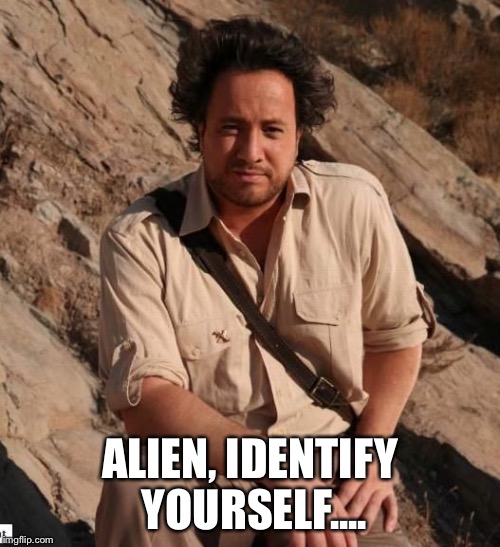 aliens1 | ALIEN, IDENTIFY YOURSELF.... | image tagged in aliens1 | made w/ Imgflip meme maker