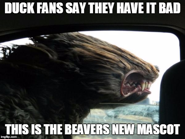 DUCK FANS SAY THEY HAVE IT BAD THIS IS THE BEAVERS NEW MASCOT | image tagged in beavers mascot | made w/ Imgflip meme maker