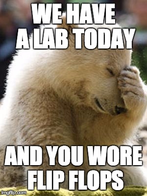 Facepalm Bear | WE HAVE A LAB TODAY AND YOU WORE FLIP FLOPS | image tagged in memes,facepalm bear | made w/ Imgflip meme maker