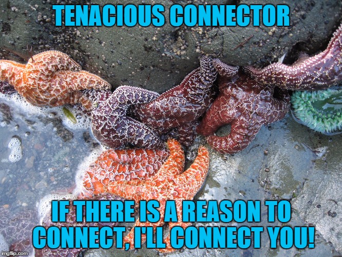 TENACIOUS CONNECTOR IF THERE IS A REASON TO CONNECT, I'LL CONNECT YOU! | image tagged in connector | made w/ Imgflip meme maker