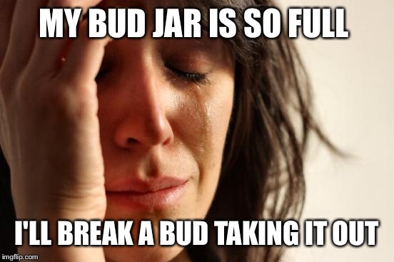 First World Problems Meme | MY BUD JAR IS SO FULL I'LL BREAK A BUD TAKING IT OUT | image tagged in memes,first world problems | made w/ Imgflip meme maker