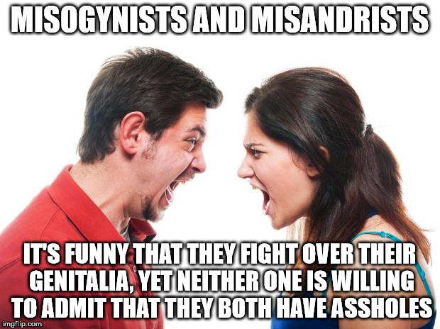 Angry fighting married couple husband & wife misogynists and misandrist...