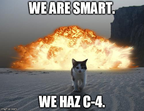 cat explosion | WE ARE SMART. WE HAZ C-4. | image tagged in cat explosion | made w/ Imgflip meme maker