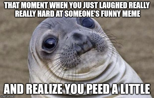 Awkward Moment Sealion | THAT MOMENT WHEN YOU JUST LAUGHED REALLY REALLY HARD AT SOMEONE'S FUNNY MEME AND REALIZE YOU PEED A LITTLE | image tagged in memes,awkward moment sealion | made w/ Imgflip meme maker