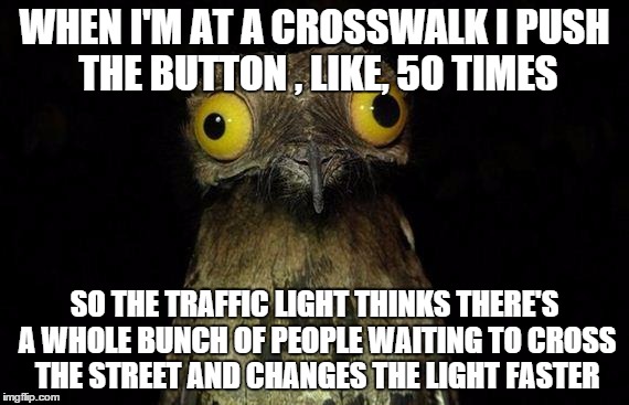 Weird Stuff I Do Potoo Meme | WHEN I'M AT A CROSSWALK I PUSH THE BUTTON , LIKE, 50 TIMES SO THE TRAFFIC LIGHT THINKS THERE'S A WHOLE BUNCH OF PEOPLE WAITING TO CROSS THE  | image tagged in memes,weird stuff i do potoo | made w/ Imgflip meme maker