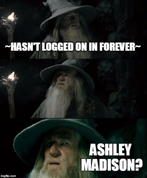 Confused Gandalf Meme | ~HASN'T LOGGED ON IN FOREVER~ ASHLEY MADISON? | image tagged in memes,confused gandalf | made w/ Imgflip meme maker