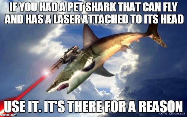 Flying Laser Shark | IF YOU HAD A PET SHARK THAT CAN FLY AND HAS A LASER ATTACHED TO ITS HEAD USE IT. IT'S THERE FOR A REASON | image tagged in flying laser shark | made w/ Imgflip meme maker