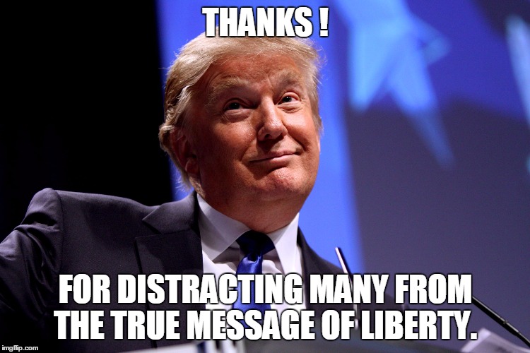 Donald Trump No2 | THANKS ! FOR DISTRACTING MANY FROM THE TRUE MESSAGE OF LIBERTY. | image tagged in donald trump no2,memes,politics,political,election 2016,road to whitehouse campaine | made w/ Imgflip meme maker