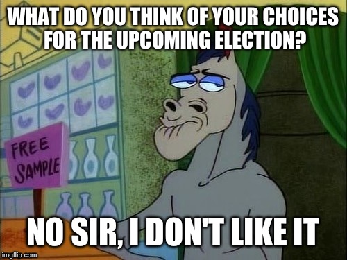 No sir, I don't like it | WHAT DO YOU THINK OF YOUR CHOICES FOR THE UPCOMING ELECTION? NO SIR, I DON'T LIKE IT | image tagged in memes,mr horse,ren and stimpy | made w/ Imgflip meme maker