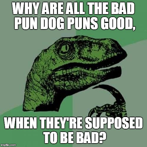Philosoraptor Meme | WHY ARE ALL THE BAD PUN DOG PUNS GOOD, WHEN THEY'RE SUPPOSED TO BE BAD? | image tagged in memes,philosoraptor | made w/ Imgflip meme maker