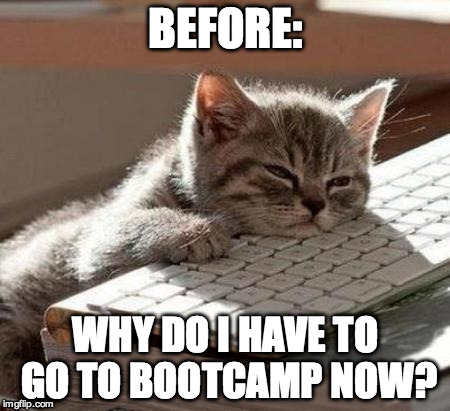 tired cat | BEFORE: WHY DO I HAVE TO GO TO BOOTCAMP NOW? | image tagged in tired cat | made w/ Imgflip meme maker