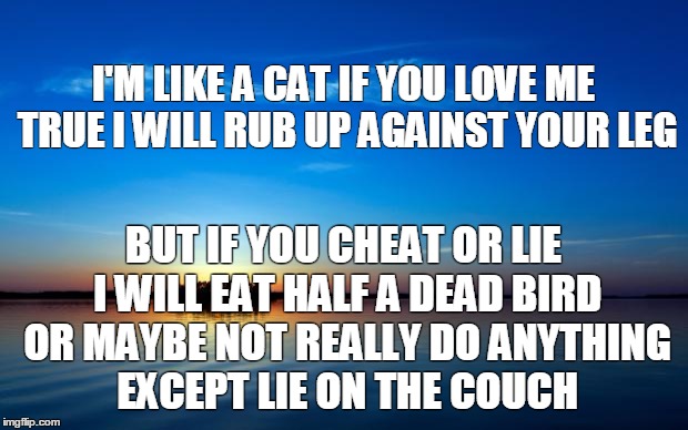 Inspirational Quote | I'M LIKE A CAT
IF YOU LOVE ME TRUE
I WILL RUB UP AGAINST YOUR LEG BUT IF YOU CHEAT OR LIE I WILL EAT HALF A DEAD BIRD OR MAYBE NOT REALLY DO | image tagged in inspirational quote | made w/ Imgflip meme maker