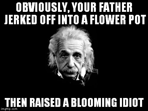 Albert Einstein 1 Meme | OBVIOUSLY, YOUR FATHER JERKED OFF INTO A FLOWER POT THEN RAISED A BLOOMING IDIOT | image tagged in memes,albert einstein 1 | made w/ Imgflip meme maker