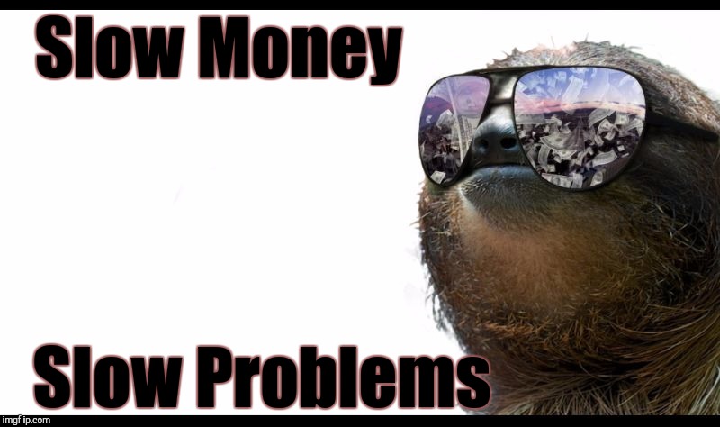 Slow Money Slow Problems | image tagged in sloth life | made w/ Imgflip meme maker