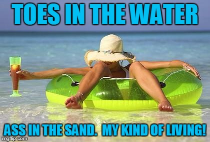 beach babe | TOES IN THE WATER ASS IN THE SAND. MY KIND OF LIVING! | image tagged in beach babe | made w/ Imgflip meme maker