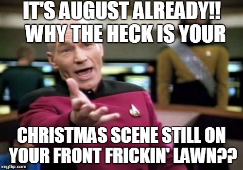 Picard Wtf Meme | IT'S AUGUST ALREADY!!  WHY THE HECK IS YOUR CHRISTMAS SCENE STILL ON YOUR FRONT FRICKIN' LAWN?? | image tagged in memes,picard wtf | made w/ Imgflip meme maker