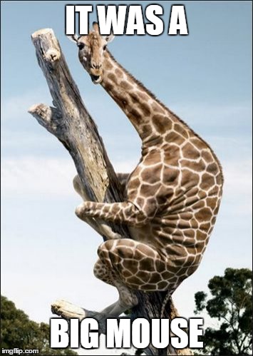 giraffe climbing a tree | IT WAS A BIG MOUSE | image tagged in giraffe climbing a tree | made w/ Imgflip meme maker