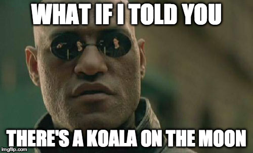 Matrix Morpheus | WHAT IF I TOLD YOU THERE'S A KOALA ON THE MOON | image tagged in memes,matrix morpheus | made w/ Imgflip meme maker