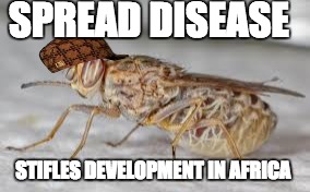 SPREAD DISEASE STIFLES DEVELOPMENT IN AFRICA | made w/ Imgflip meme maker