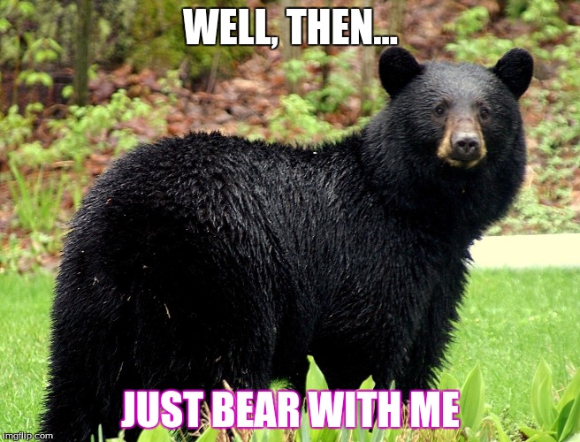 bear | WELL, THEN... JUST BEAR WITH ME | image tagged in bear,bad puns | made w/ Imgflip meme maker