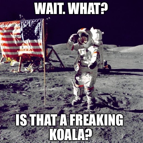 Neil Armstrong | WAIT. WHAT? IS THAT A FREAKING KOALA? | image tagged in neil armstrong | made w/ Imgflip meme maker