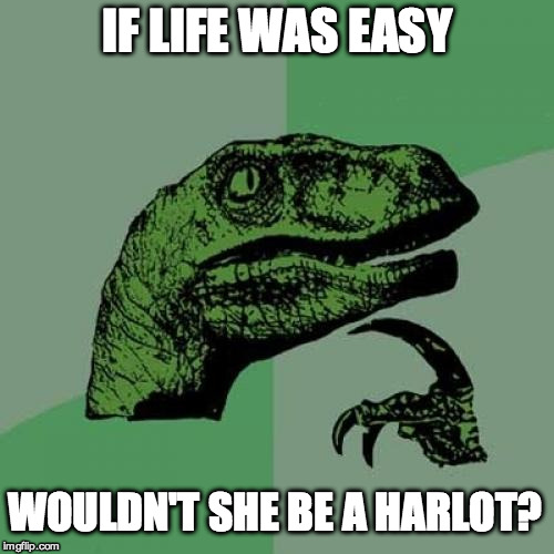 Philosoraptor | IF LIFE WAS EASY WOULDN'T SHE BE A HARLOT? | image tagged in memes,philosoraptor | made w/ Imgflip meme maker