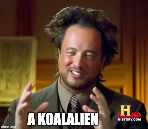 Ancient Aliens Meme | A KOALALIEN | image tagged in memes,ancient aliens | made w/ Imgflip meme maker