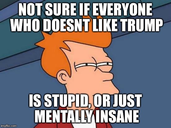 Futurama Fry Meme | NOT SURE IF EVERYONE WHO DOESNT LIKE TRUMP IS STUPID, OR JUST MENTALLY INSANE | image tagged in memes,futurama fry | made w/ Imgflip meme maker