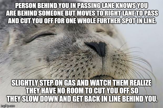 Satisfied Seal Meme | PERSON BEHIND YOU IN PASSING LANE KNOWS YOU ARE BEHIND SOMEONE BUT MOVES TO RIGHT LANE TO PASS AND CUT YOU OFF FOR ONE WHOLE FURTHER SPOT IN | image tagged in memes,satisfied seal,AdviceAnimals | made w/ Imgflip meme maker
