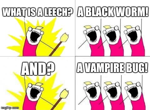 The leech | WHAT IS A LEECH? A BLACK WORM! AND? A VAMPIRE BUG! | image tagged in memes,what do we want | made w/ Imgflip meme maker