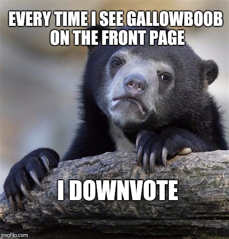 Confession Bear Meme | EVERY TIME I SEE GALLOWBOOB ON THE FRONT PAGE I DOWNVOTE | image tagged in memes,confession bear | made w/ Imgflip meme maker