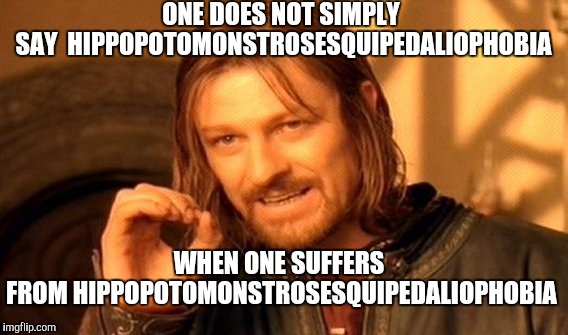 One Does Not Simply Meme | ONE DOES NOT SIMPLY SAY  HIPPOPOTOMONSTROSESQUIPEDALIOPHOBIA WHEN ONE SUFFERS FROM HIPPOPOTOMONSTROSESQUIPEDALIOPHOBIA | image tagged in memes,one does not simply | made w/ Imgflip meme maker