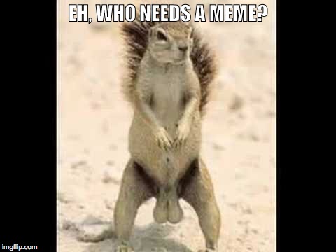 Squirrel nuts | EH, WHO NEEDS A MEME? | image tagged in squirrel nuts | made w/ Imgflip meme maker