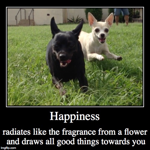 image tagged in happy,funny,energized,happiness | made w/ Imgflip demotivational maker