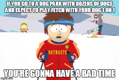 Super Cool Ski Instructor | IF YOU GO TO A DOG PARK WITH DOZENS OF DOGS AND EXPECT TO PLAY FETCH WITH YOUR DOG 1 ON 1 YOU'RE GONNA HAVE A BAD TIME | image tagged in memes,super cool ski instructor,AdviceAnimals | made w/ Imgflip meme maker