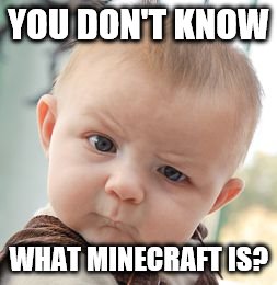 Skeptical Baby | YOU DON'T KNOW WHAT MINECRAFT IS? | image tagged in memes,skeptical baby | made w/ Imgflip meme maker