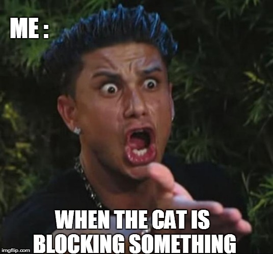 This happens to me EVERY  time | WHEN THE CAT IS BLOCKING SOMETHING ME : | image tagged in memes,dj pauly d,cat | made w/ Imgflip meme maker