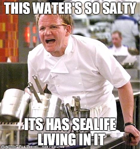 Chef Gordon Ramsay | THIS WATER'S SO SALTY ITS HAS SEALIFE LIVING IN IT | image tagged in memes,chef gordon ramsay | made w/ Imgflip meme maker