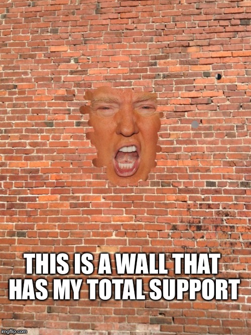 Trump wall | THIS IS A WALLTHAT HAS MY TOTAL SUPPORT | image tagged in trump | made w/ Imgflip meme maker