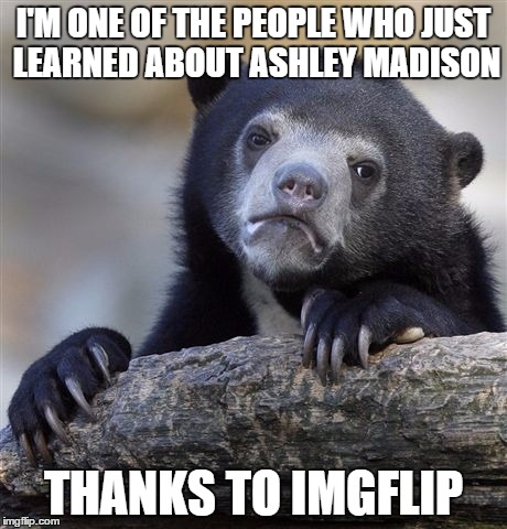 Confession Bear | I'M ONE OF THE PEOPLE WHO JUST LEARNED ABOUT ASHLEY MADISON THANKS TO IMGFLIP | image tagged in memes,confession bear,ashley madison | made w/ Imgflip meme maker