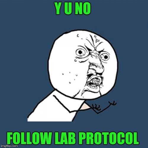 Y U No Meme | Y U NO FOLLOW LAB PROTOCOL | image tagged in memes,y u no | made w/ Imgflip meme maker