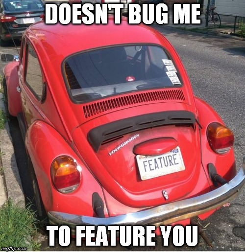 Doesn't Bug Me | DOESN'T BUG ME TO FEATURE YOU | image tagged in bugfeature,freeadvizor | made w/ Imgflip meme maker