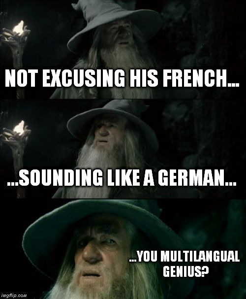 NOT EXCUSING HIS FRENCH... ...SOUNDING LIKE A GERMAN... ...YOU MULTILANGUAL GENIUS? | image tagged in memes,confused gandalf | made w/ Imgflip meme maker