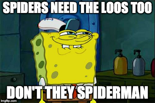 Don't You Squidward Meme | SPIDERS NEED THE LOOS TOO DON'T THEY SPIDERMAN | image tagged in memes,dont you squidward | made w/ Imgflip meme maker