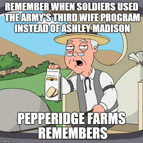 Pepperidge Farm Remembers Meme | REMEMBER WHEN SOLDIERS USED THE ARMY'S THIRD WIFE PROGRAM INSTEAD OF ASHLEY MADISON PEPPERIDGE FARMS REMEMBERS | image tagged in memes,pepperidge farm remembers | made w/ Imgflip meme maker